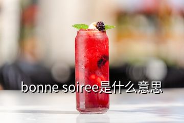 bonne soiree是什么意思