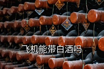 飞机能带白酒吗