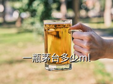 一瓶茅台多少ml