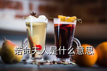 诰命夫人是什么意思