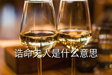 诰命夫人是什么意思