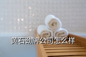 黄石劲牌公司怎么样