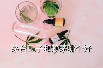 茅台王子和赖茅哪个好