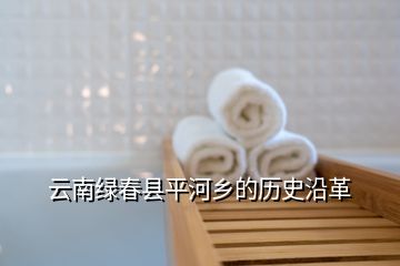 云南绿春县平河乡的历史沿革