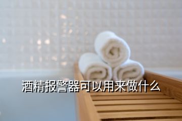 酒精报警器可以用来做什么