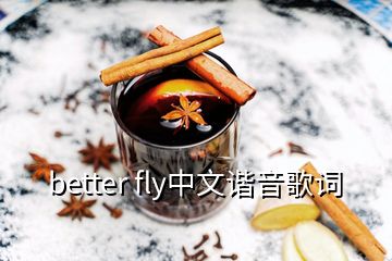 better fly中文谐音歌词