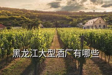 黑龙江大型酒厂有哪些