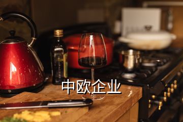 中欧企业