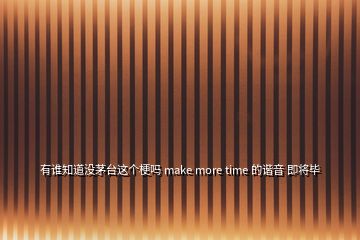 有谁知道没茅台这个梗吗 make more time 的谐音 即将毕