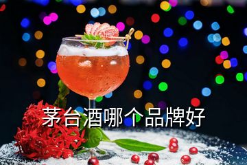 茅台酒哪个品牌好