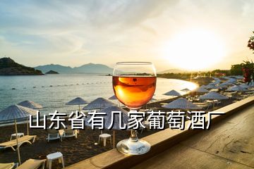 山东省有几家葡萄酒厂