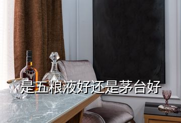 是五粮液好还是茅台好