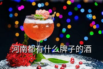 河南都有什么牌子的酒