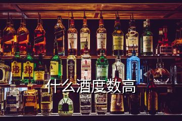 什么酒度数高