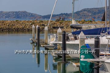 泸州市泸南酒业有限公司出的38度白酒多少钱一斤