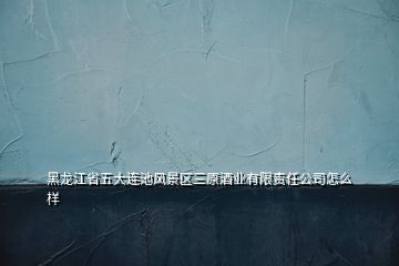 黑龙江省五大连池风景区三原酒业有限责任公司怎么样