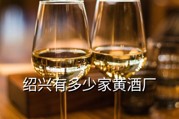 绍兴有多少家黄酒厂