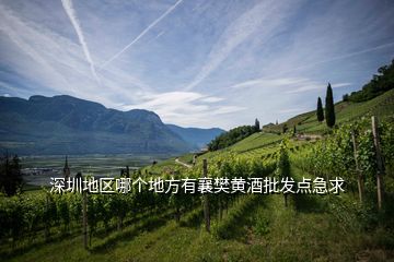 深圳地区哪个地方有襄樊黄酒批发点急求