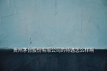 贵州茅台股份有限公司的待遇怎么样啊