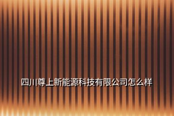 四川尊上新能源科技有限公司怎么样