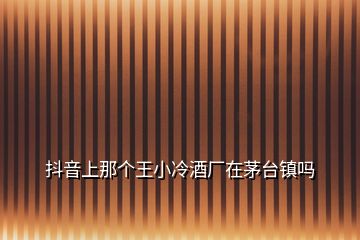 抖音上那个王小冷酒厂在茅台镇吗