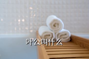 叶公叫什么