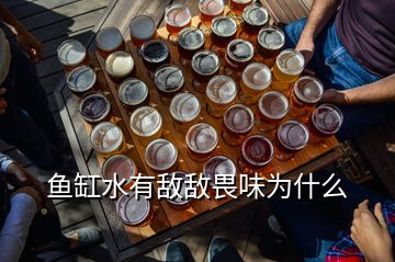 鱼缸水有敌敌畏味为什么