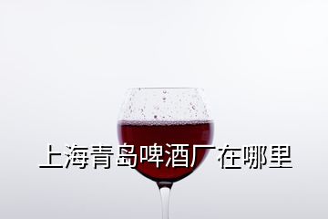 上海青岛啤酒厂在哪里