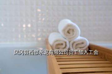 凤冈县西部水泥有限公司员工加入工会