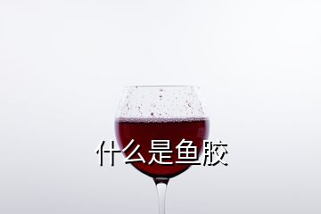 什么是鱼胶