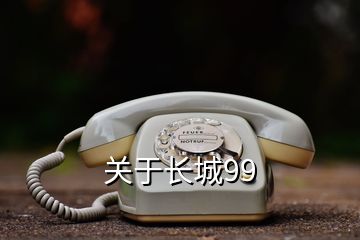 关于长城99