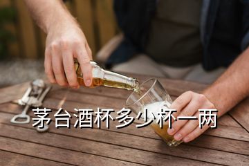 茅台酒杯多少杯一两