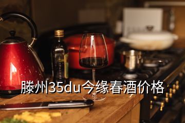 滕州35du今缘春酒价格