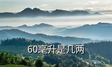 60毫升是几两