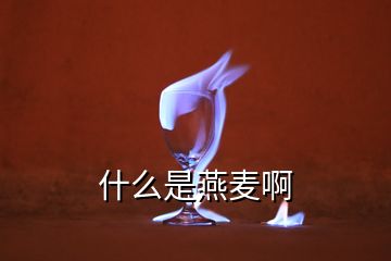 什么是燕麦啊