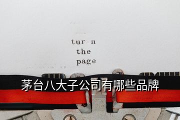 茅台八大子公司有哪些品牌