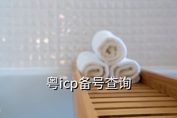 粤icp备号查询