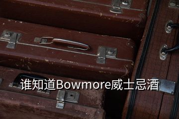 谁知道Bowmore威士忌酒