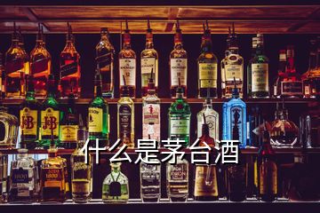 什么是茅台酒