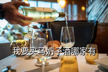 我要买马奶子酒哪家有