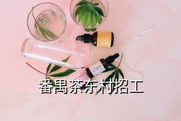 番禺茶东村招工