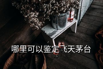 哪里可以鉴定飞天茅台