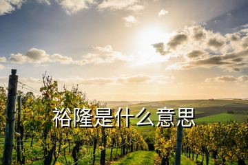 裕隆是什么意思