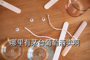 哪里有茅台葡萄酒卖啊