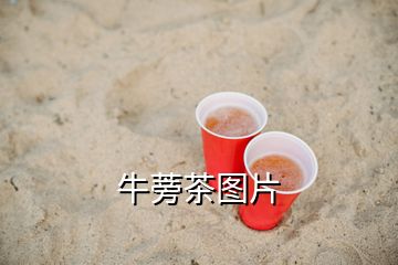 牛蒡茶图片