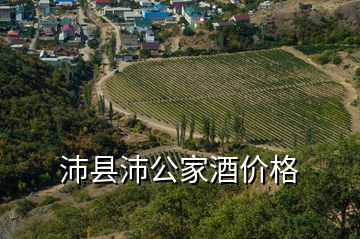 沛县沛公家酒价格