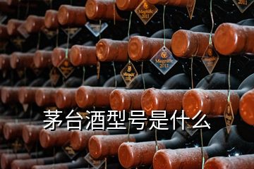 茅台酒型号是什么