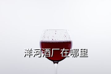 洋河酒厂在哪里