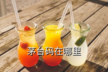 茅台码在哪里