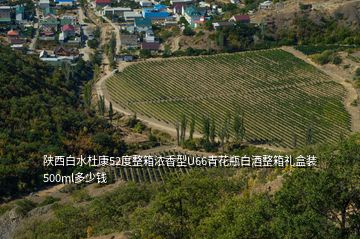 陕西白水杜康52度整箱浓香型U66青花瓶白酒整箱礼盒装500ml多少钱